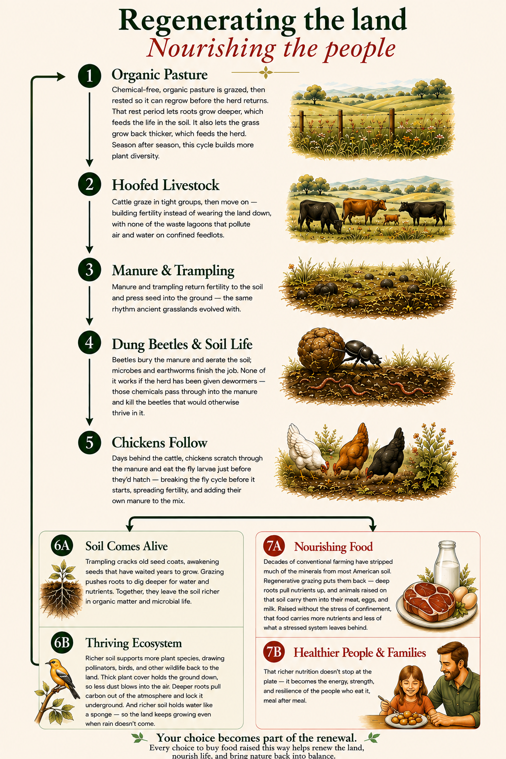 Regenerating the Land. Nourishing the People. regenerative farming cycle infographic